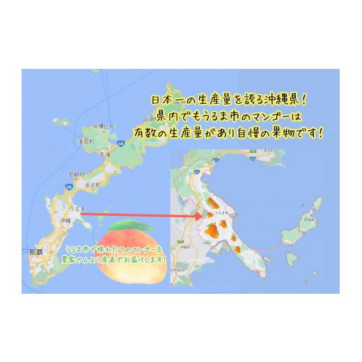 ふるさと納税 沖縄県 うるま市 高品質マンゴー 秀品　約1.5kg（2〜5玉）
