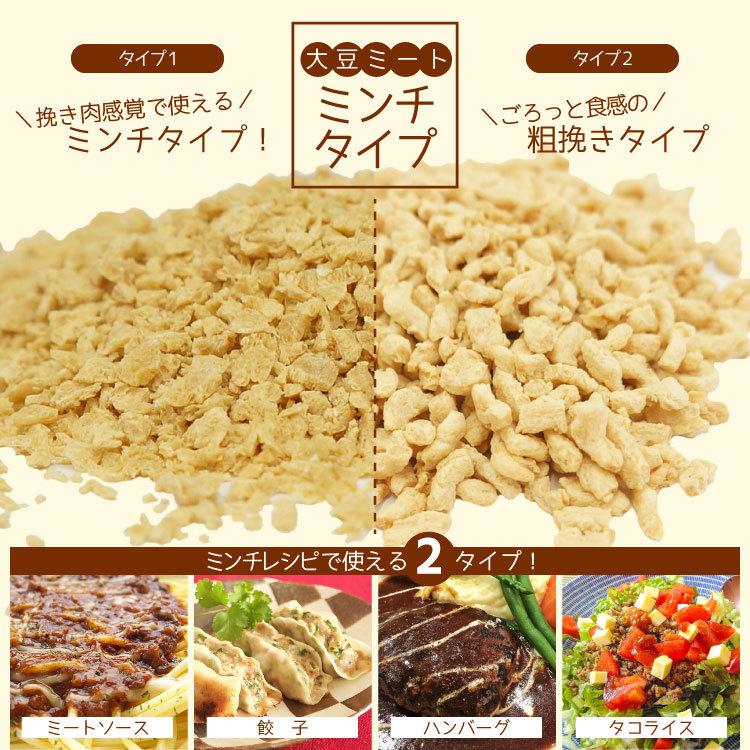 大豆ミート 粗挽きミンチタイプ 250g   チャック付