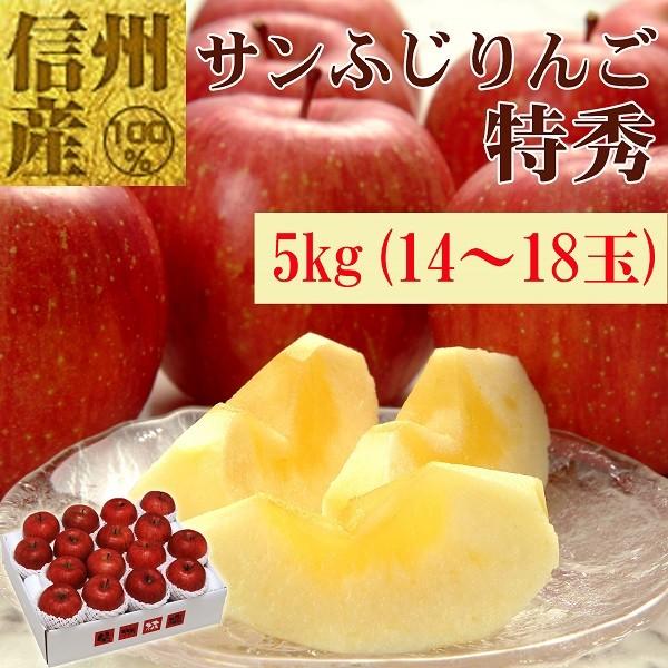 長野県産サンふじ特秀5ｋｇ（14〜18玉）　No.539