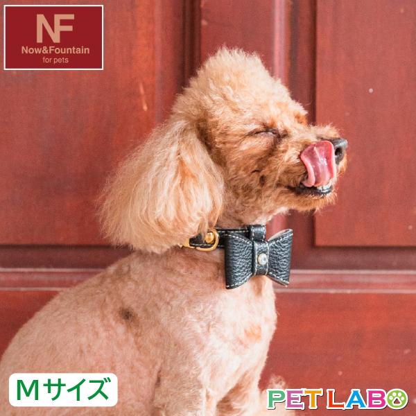 NF(ナウアンドファウンテン) ナチュラルスキンカラー(Mサイズ) 首輪