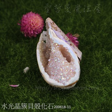 【土桑展精選寶物】水光晶簇貝殼化石200618-11 (珠寶等級)