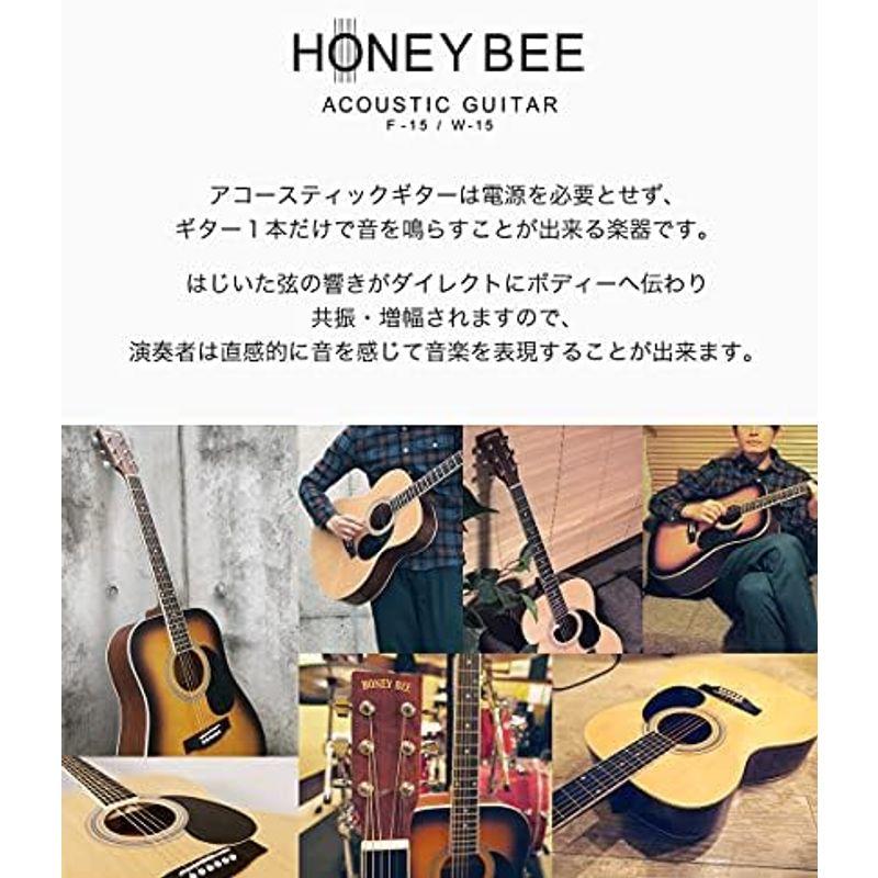 アコースティックギター HONEY BEE フォークギタータイプ F-15M RDS マットフィニッシュモデル 初心者入門16点セット