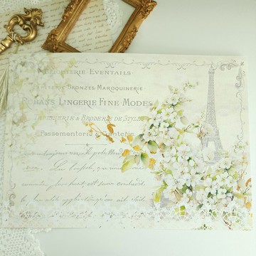 Whiterose 設計紙 4