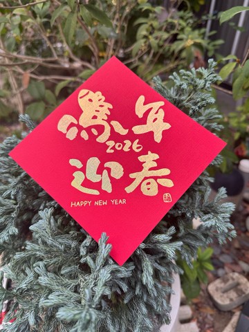 春聯 馬年 斗方 創意春聯 台灣製造 揮春