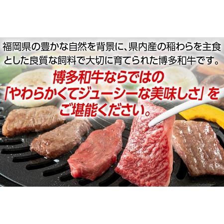 ふるさと納税 博多和牛　すき焼き用もも焼肉用肩ロース 2種セット (計約900g) 福岡県田川市