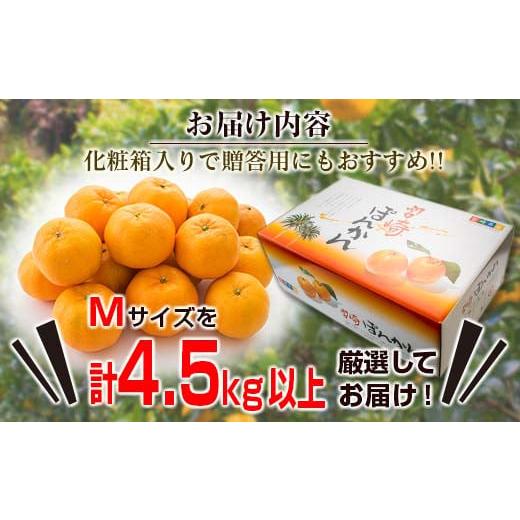 ふるさと納税 宮崎県 日南市 数量限定『日南市産ポンカン(Mサイズ)計4.5kg以上』傷み補償分200g付き　フルーツ　果物　柑橘　ぽんかん　みかん　国産 BA45-23