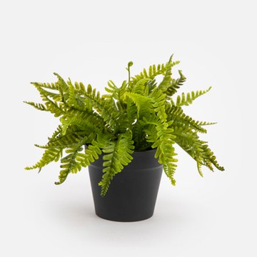 艾禮思擬真盆栽迷你蕨3吋