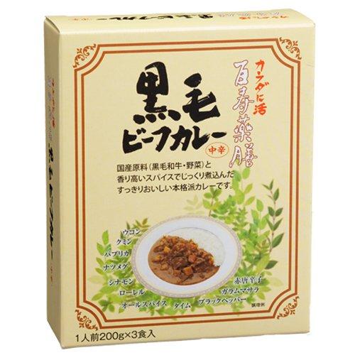 百寿薬膳 黒毛ビーフカレー中辛200g×3袋