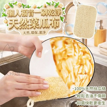 ✔️有發票🇹🇼現貨🌟懶人福音一刷乾淨天然菜瓜布 菜瓜布 絲瓜布 絲瓜洗碗刷 洗碗刷 環保清潔刷 天然菜瓜布