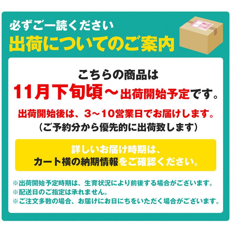 サンふじ 3kg 青森県産 贈答用 りんご 9〜11玉 産地直送 林檎 リンゴ ふじりんご フルーツ 果物 指定日不可 同梱不可 産直