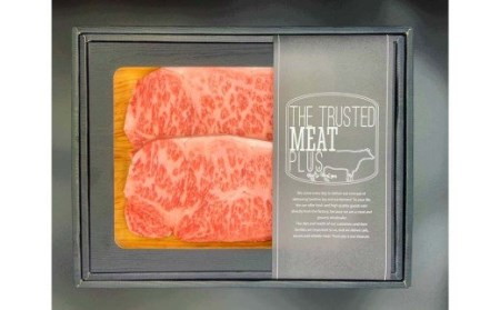 博多和牛 サーロイン ステーキ 500g（250g×2枚）牛肉