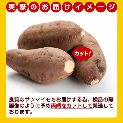 ふるさと納税 都城市 山下農園の熟成シルクスイート 10kg