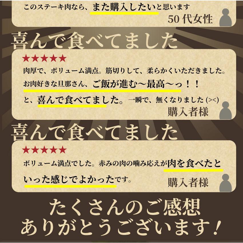 牛肉 肉 オージー サーロイン ステーキ リッチな 赤身 ロース 贅沢 ステーキ セット 10枚 グルメ お歳暮 ギフト プレゼント 誕生日