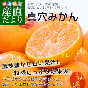 愛媛県 JAにしうわ 真穴みかん 約2.8キロ(1.4キロ×2袋) SからSSサイズ 送料無料 ミカン 蜜柑 まあなみかん 愛媛みかん 市場発送