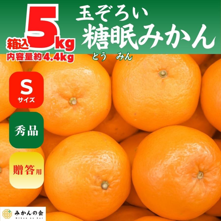 熟成 みかん 秀品 箱込 5kg 内容量 4.4kg Ｓサイズ 玉ぞろい 有田みかん 和歌山県産 産地直送 贈答用 