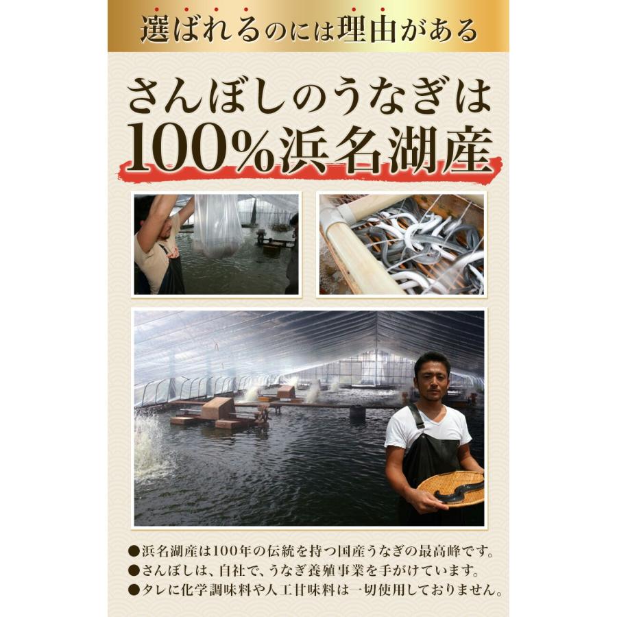 国産うなぎの最高峰 浜名湖うなぎの肝焼き50g×10パック貴重な肝焼き※ご自宅用