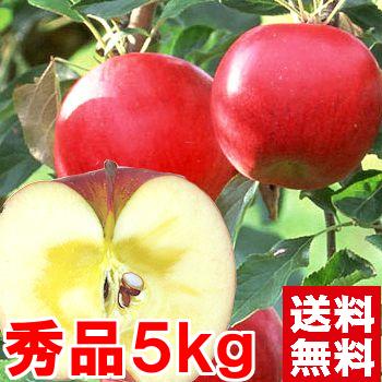 お歳暮 ギフト 樹成り完熟サンふじりんご 秀品5kg