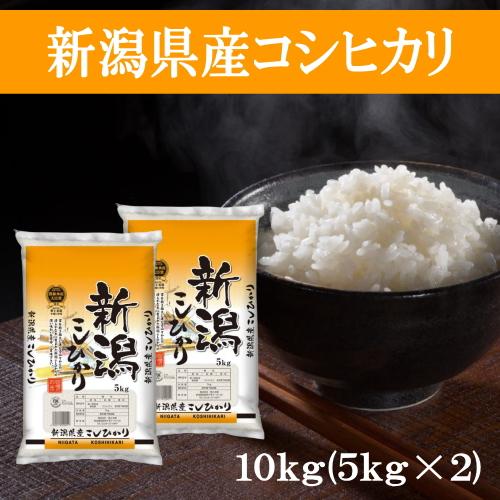 送料無料 令和５年産 新潟県産コシヒカリ 10kg(5kg×2) おこめ 精米 新潟