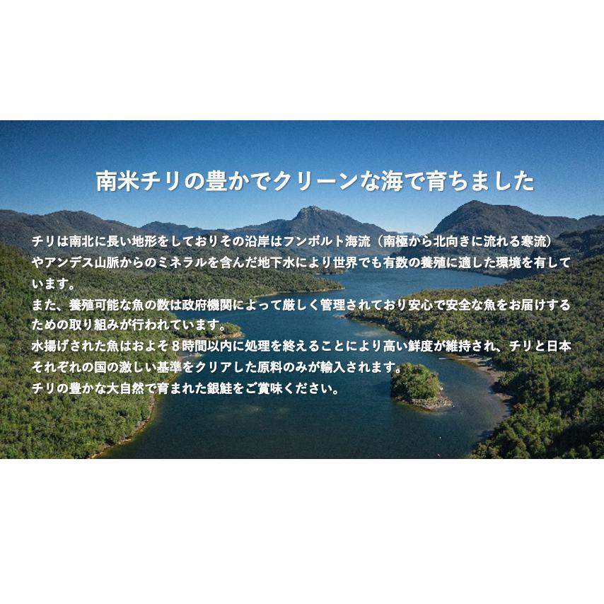 銀鮭カマ　1.0kg　工場直送　カマ　銀鮭　鮭　サーモン　塩鮭　切身　海鮮　訳あり　わけあり　海辺のマルシェ