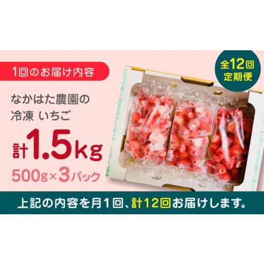 ふるさと納税 熊本県 山都町 熊本県産 冷凍イチゴ 計1.5kg 500g × 3P 山都町産 産地直送[YBI020] 120000 1…