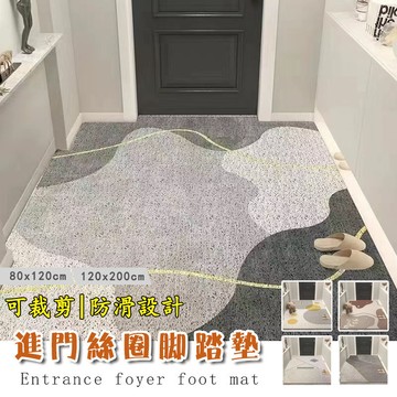 【免運 加厚8MM】絲圈地墊 入戶地墊 玄關地墊 進門地墊 刮泥地墊 腳踏墊玄關 玄關地墊絲圈 刮泥蹭土 地墊 防滑地墊