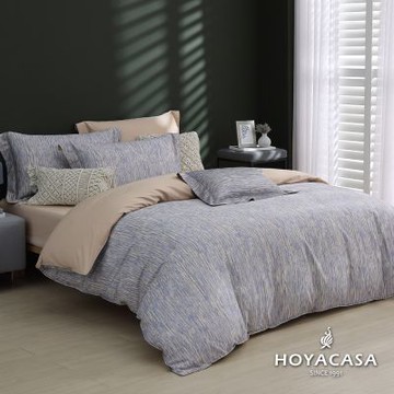 HOYACASA 特大300織抗菌沐光長絨棉兩用被床包組-雲錦流映