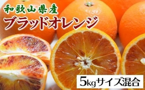 国産濃厚ブラッドオレンジ「タロッコ種」5kg★2024年4月中旬頃より順次発送予定