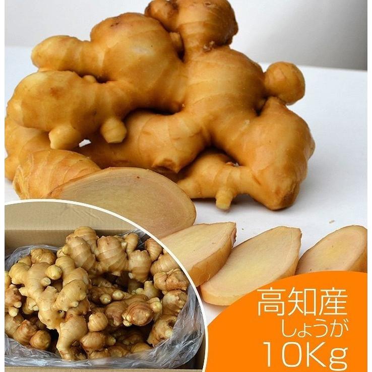 食用 高知県産近江生姜（白）10kg