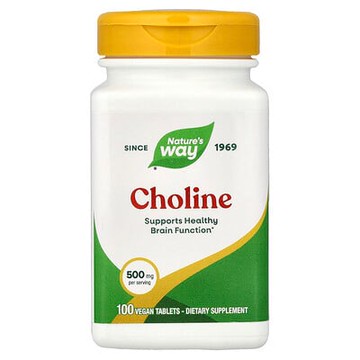 Nature's Way, 膽鹼，500 毫克，100 片純素食片