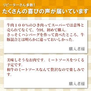 ふるさと納税 根羽こだわり和牛 ミンチ 1kg 国産黒毛和牛 ハンバーグ 長野県根羽村