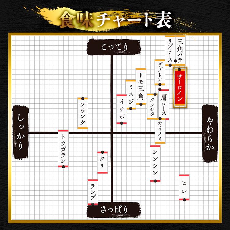 佐賀牛 サーロイン ステーキ 200g×3枚