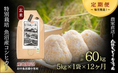 ≪令和5年産≫農家直送！魚沼産コシヒカリ特別栽培「白羽毛の米」玄米(5kg×1袋)×12回  60kg