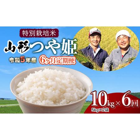 ふるさと納税 令和5年産 新米 特別栽培米 山形つや姫 定期便 10kg(5kg×2袋)×6ヶ月 鶴岡ファーマーズ 山形県鶴岡市