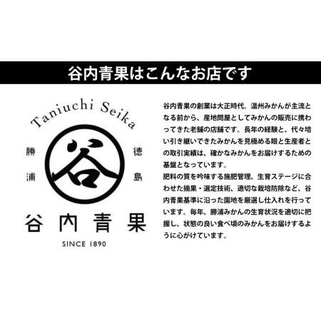 ふるさと納税 谷内青果 熟成みかん 秀品 サイズ混合 10kg 徳島県勝浦町