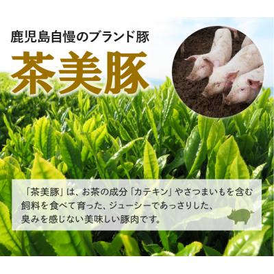 ふるさと納税 南九州市 鹿児島茶美豚ソーセージセット