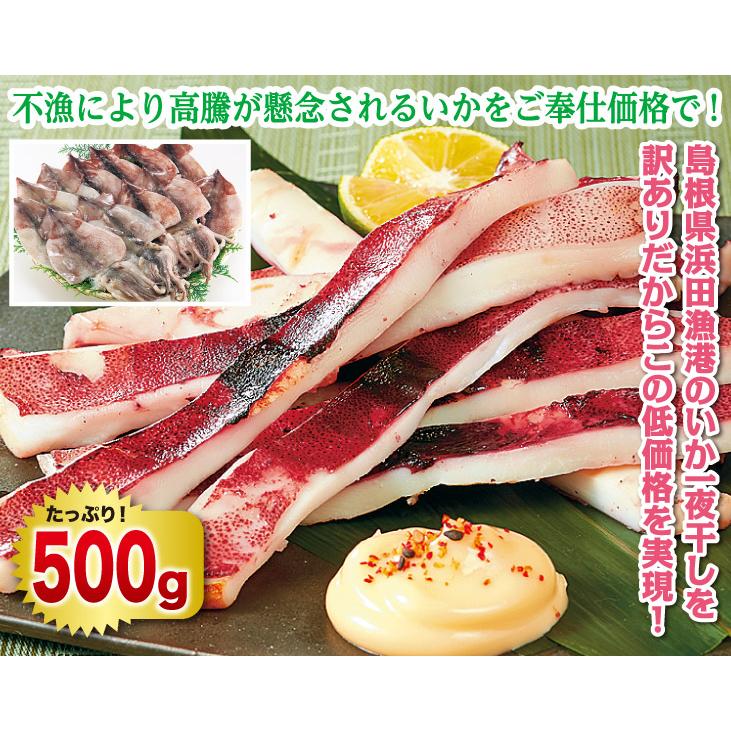 訳あり お徳用いか姿一夜干し500g 送料無料