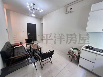 員林日日森精緻愛貓二房｜彰化縣員林市三多七街