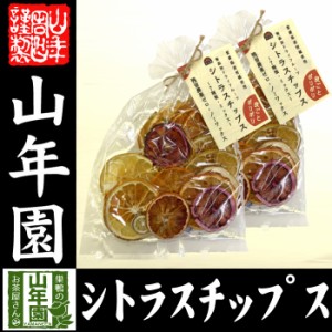 無添加ドライフルーツ シトラスチップス 50g×2袋セット 愛媛県産の7種類の柑橘を使用 お土産 ギフトセット 送料無料 お茶 お歳暮 2023