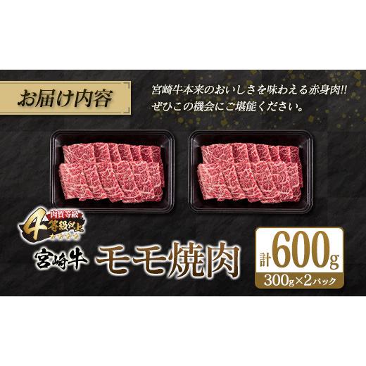 ふるさと納税 宮崎県 日南市 宮崎牛モモ焼肉(計600g)　肉　牛　牛肉 C70-21