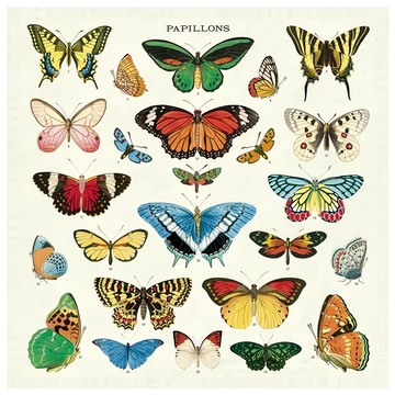 CAVALLINI&CO. 方形餐巾 48.5 x 48.5cm 四件組 - 精緻餐桌裝飾  蝴蝶 多色  1組