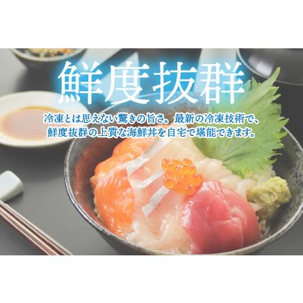 ふるさと納税 海鮮丼の具5種盛り（マグロ・サーモン・タイ・イカ・ブリ）60g（タレ付）× 5人前【.. 福井県鯖江市