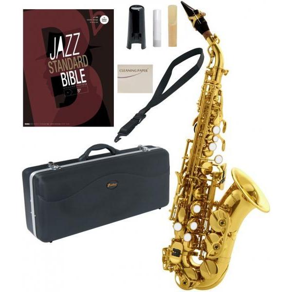 Antigua SS2400 アウトレット エルドン カーブドソプラノサックス 管楽器 eldon curved soprano saxophone  GL JAZZ 楽譜 セット 北海道 沖縄 離島不可 | LINEブランドカタログ