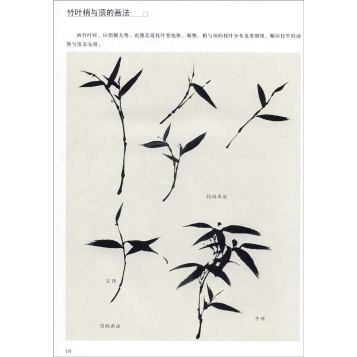 写意花鳥　竹　中国画入門訓練新編　中国絵画 写意花#40479;篇　竹　国画入#38376;#35757;#32451;新#32534;