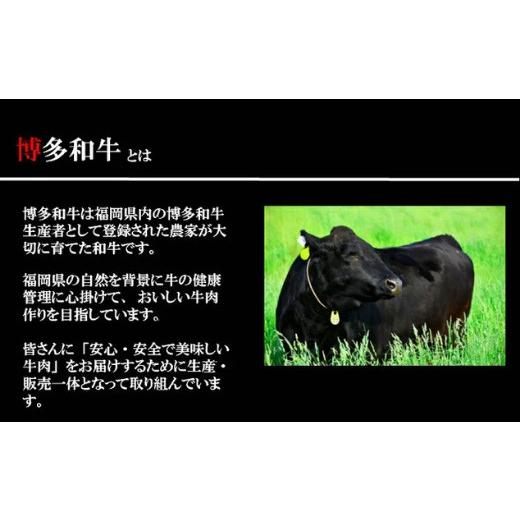 ふるさと納税 佐賀県 唐津市 (一粒庵)博多和牛ごはん 125g×6食セット 簡単 調理 個食 小分け お手軽 牛肉 ギフト「2023年 令和5年」