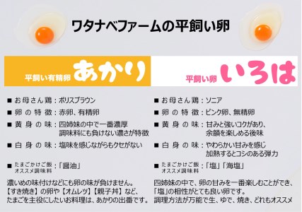 [平飼い卵食べ比べ合計30個×3か月連続定期便] 平飼い有精卵あかり・平飼い卵いろは 各15個｜矢板市産 こだわり卵 たまご 玉子 生卵 鶏卵 [0435]