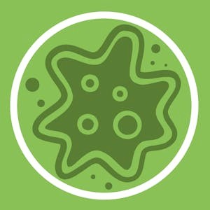 Algal Blooms and Proliferations