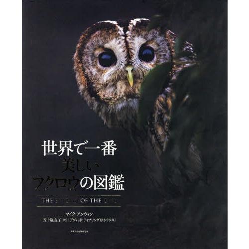 世界で一番美しいフクロウの図鑑