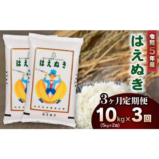 ふるさと納税 山形県 鶴岡市 新米 山形県庄内産 はえぬき10kg（5kg×2）