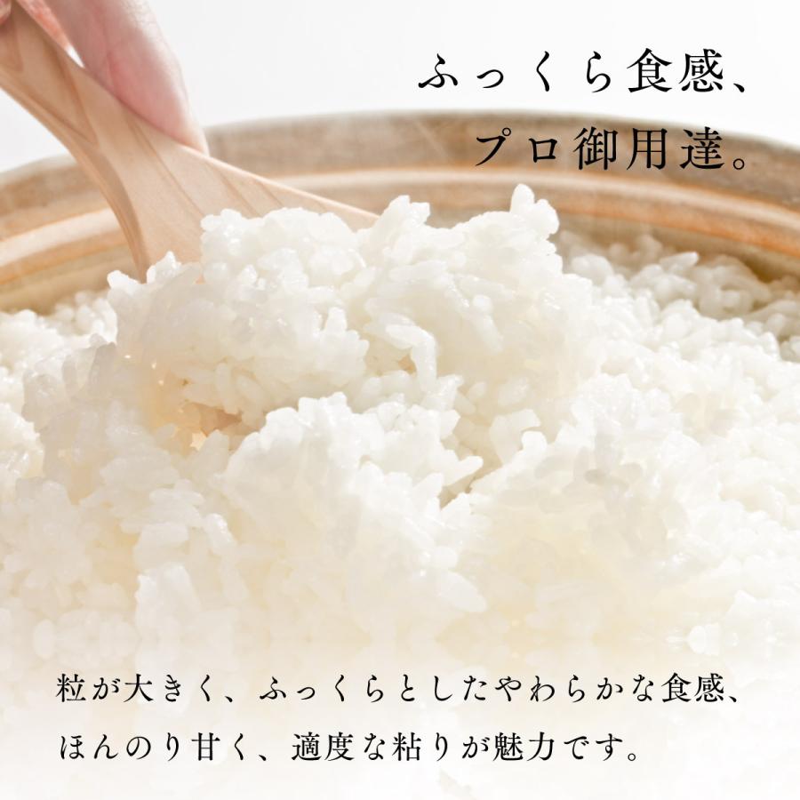 新米 産地限定 ふっくりんこ 5kg 北海道産 白米 令和5年産 米 お米 送料無料 真空パックに変更可