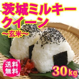 送料無料(北海道・九州・沖縄除く) 令和5年産 新米 茨城県産ミルキークイーン（玄米）30kg